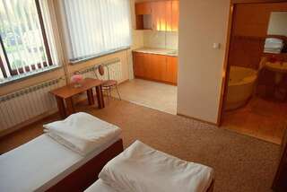 Мотели Zajazd Kwadrat Домброва-Гурнича Бюджетный двухместный номер с 2 отдельными кроватями-10